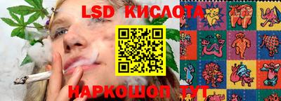 тгк Канаш
