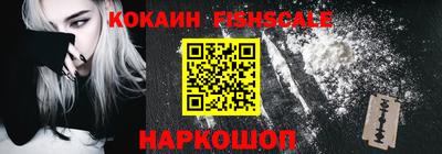 гидра Камышлов